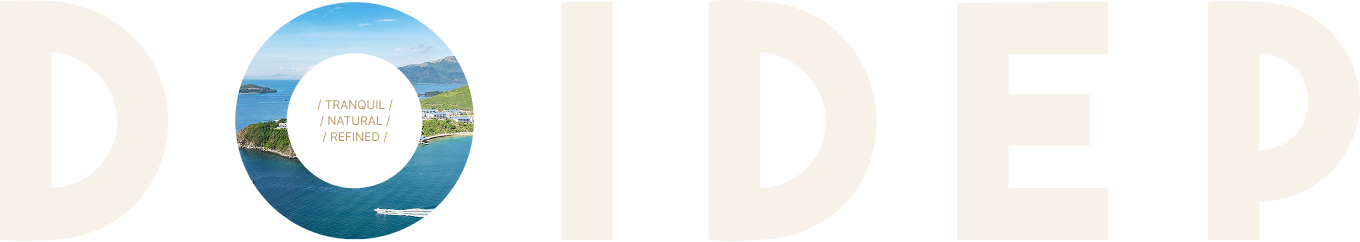 DOIDEP gallery logo